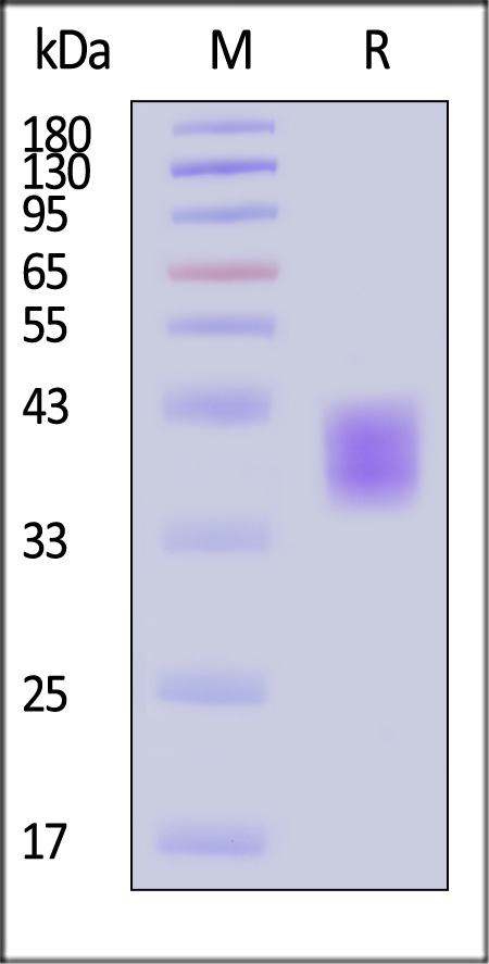 B73-H52E2-sds