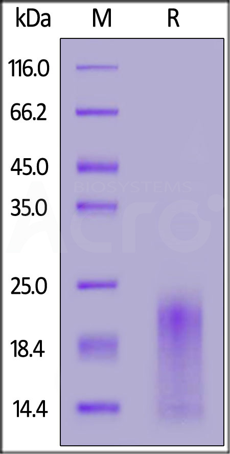 BAR-C52H4-sds