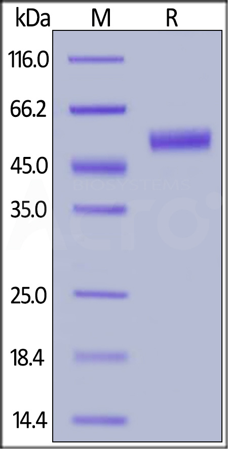 CT4-H82F3-sds