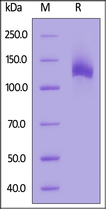 EGR-H82F8-sds