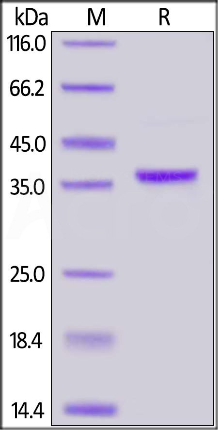 EM2-H5142-sds