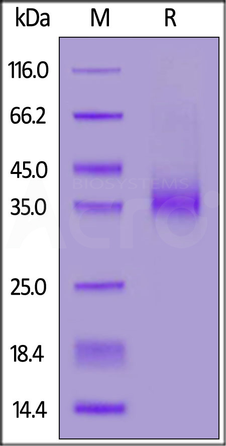 EPM-H82E8-sds