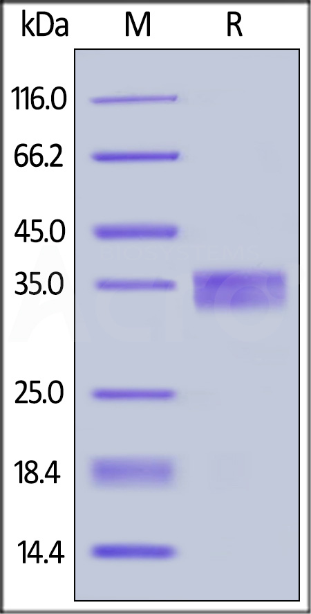 EPM-M5227-sds