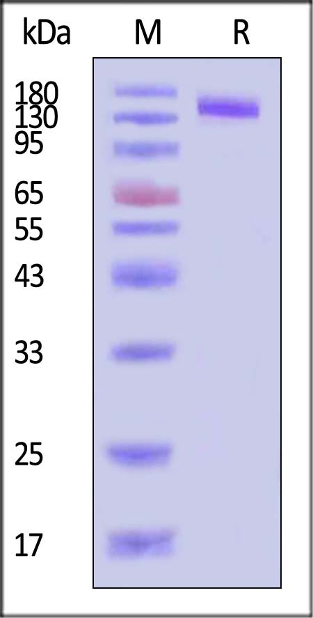 ER3-H5259-sds