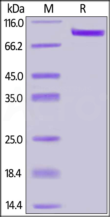 ER3-H5288-sds