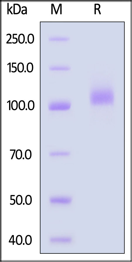 FC5-H82E3-sds