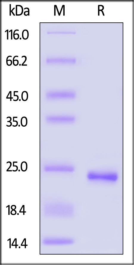 FG4-H51H3-sds