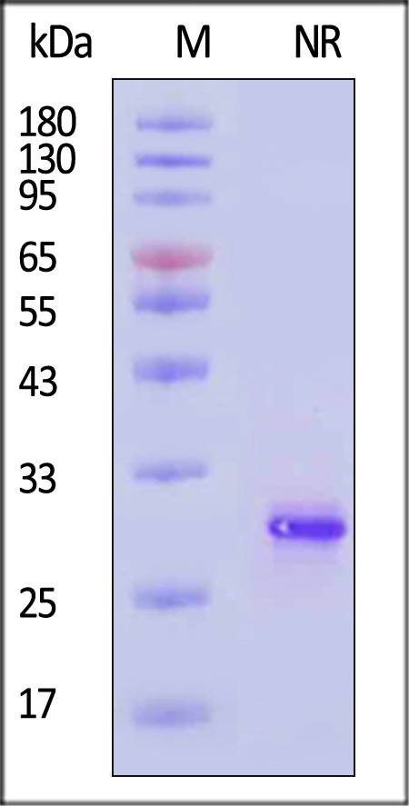 FG7-H5144-sds