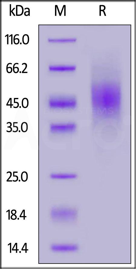 FGB-H5223-sds