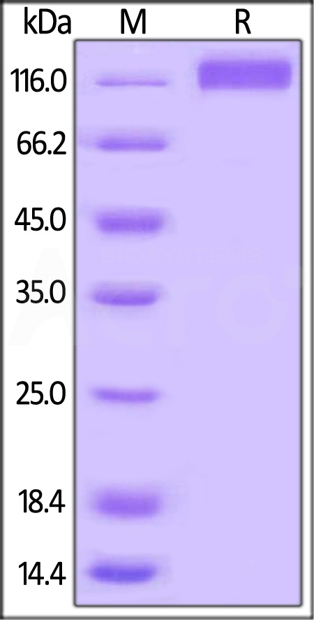 FL4-H82E1-sds