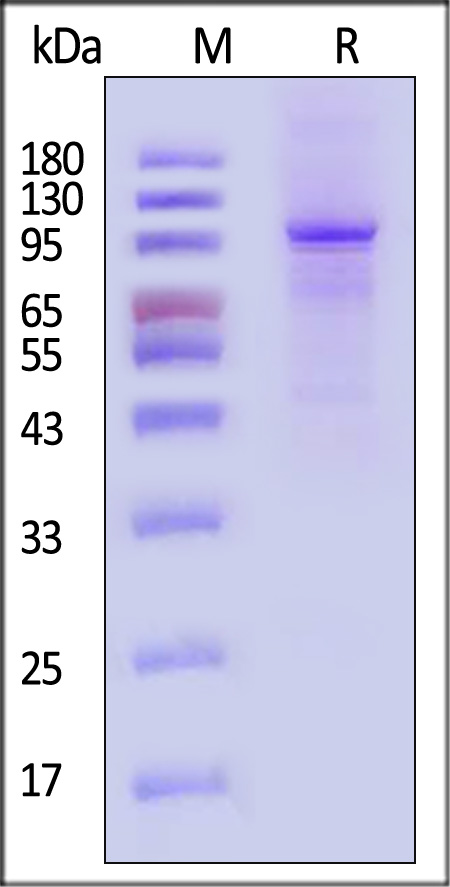 FUS-H5144-sds