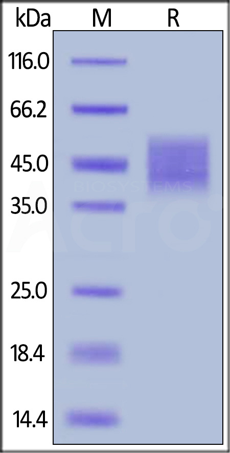 GHR-H8222-sds