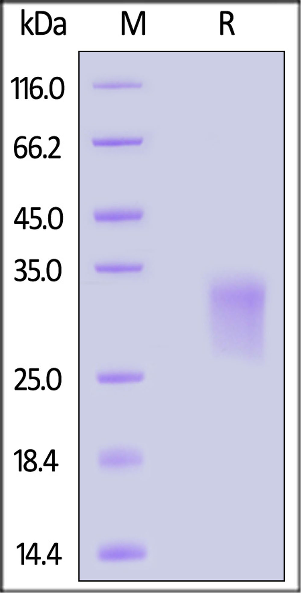 GLR-H82E3-sds