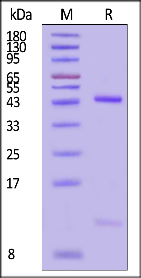 HL7-H82E4-sds