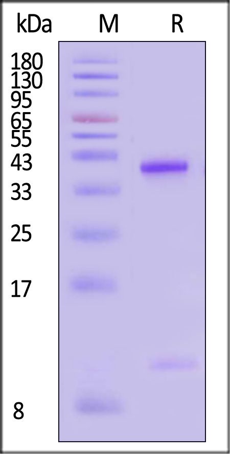 HLD-H52E6-sds