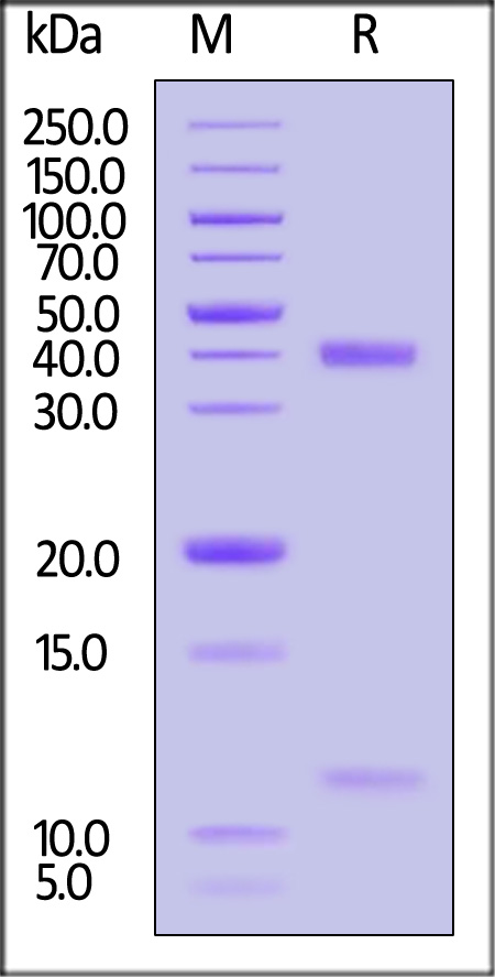 HLD-H52H4-sds