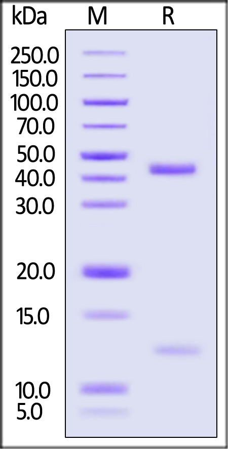 HLM-H82E9-sds