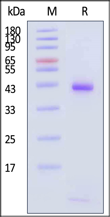 HLM-H82Ek-sds