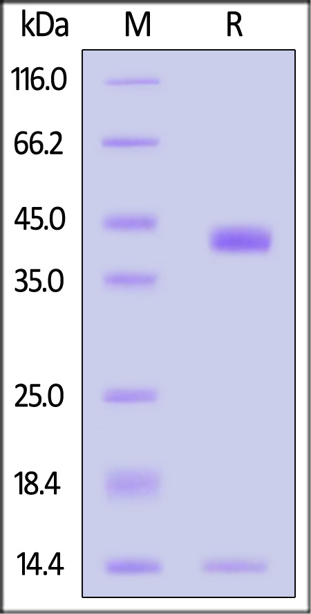 HLR-H52W2-sds