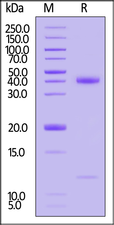 HLS-H52H5-sds