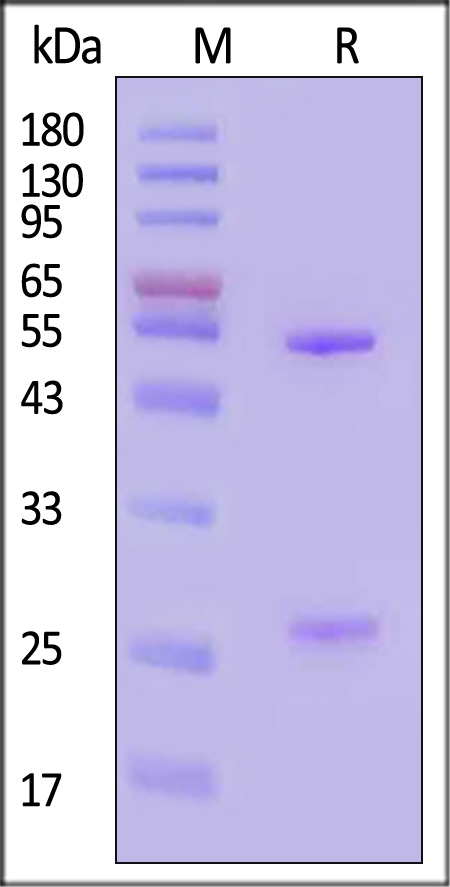 HRF-S268-sds