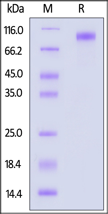 ILA-H82E9-sds