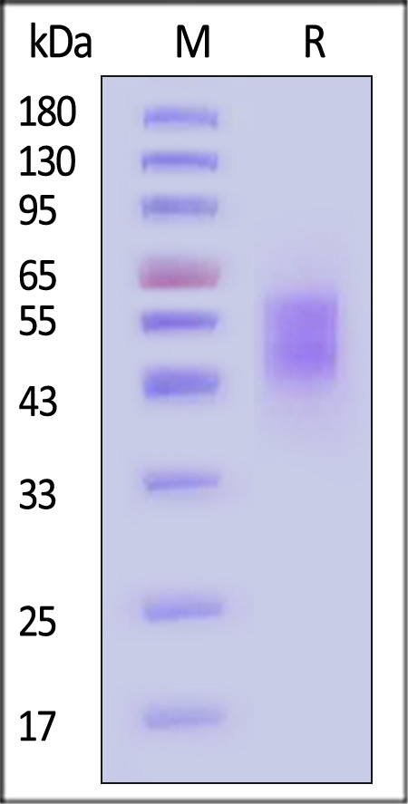 ILA-H82W3-sds