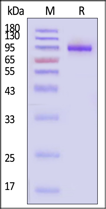 ILR-H82F3-sds