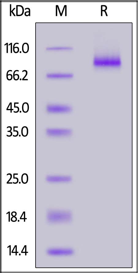 LA3-C5252-sds