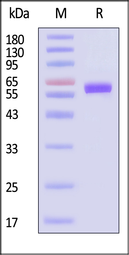 LA3-H5222-sds