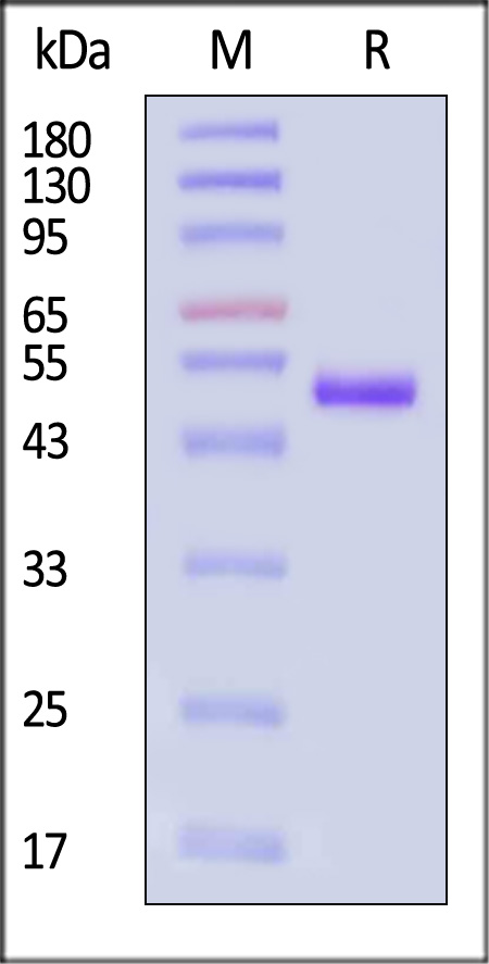 LE3-H5228-sds