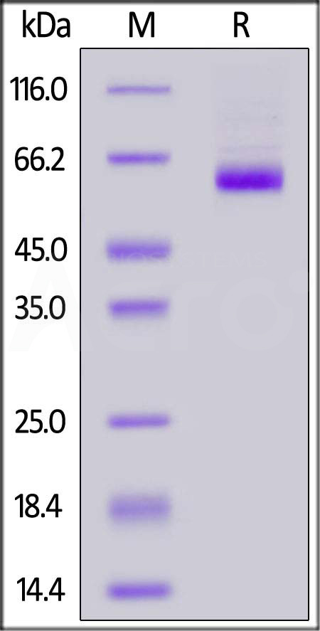 MAR-M5245-sds