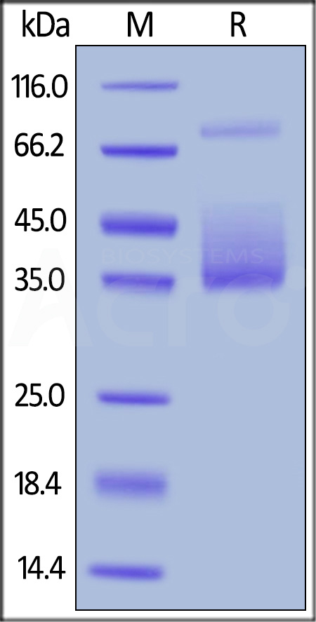 MCF-H82E6-sds