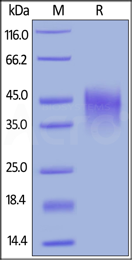 OX0-C5220-sds