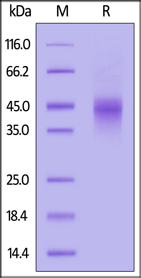 OX0-C82E9-sds