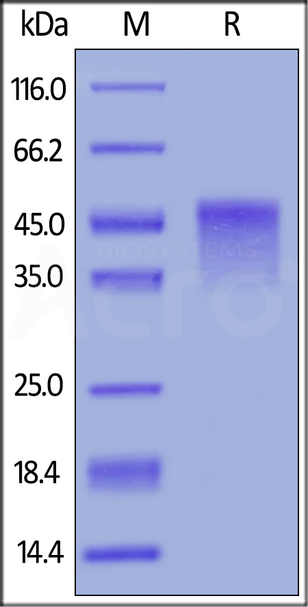 OX0-M82E5-sds