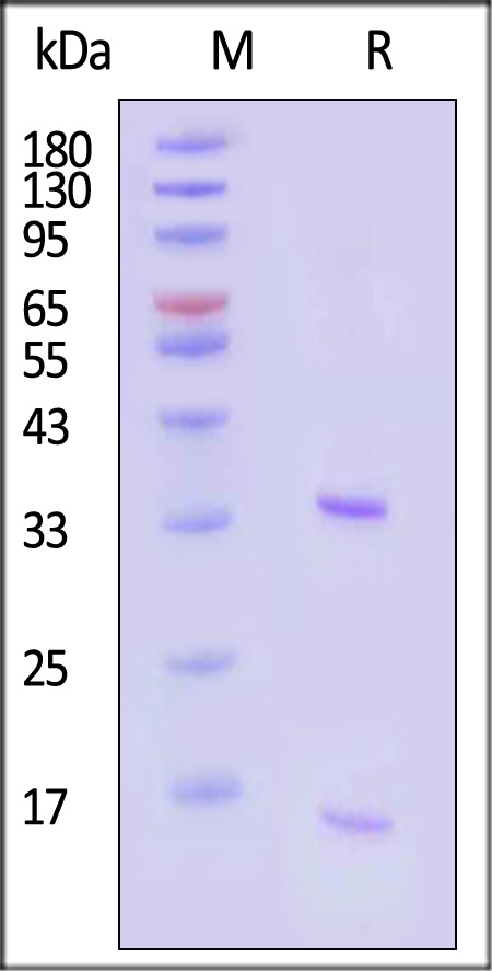 PC9-H52H7-sds