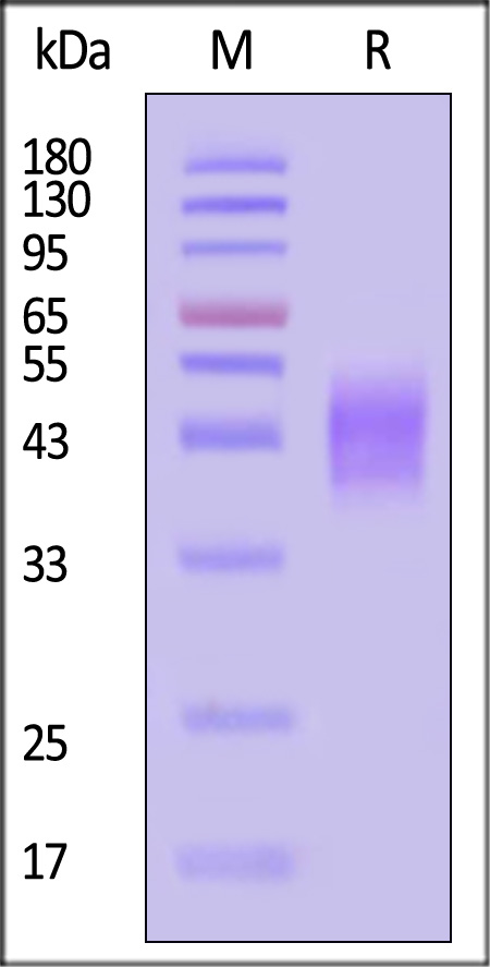 PDL-M82E7-sds