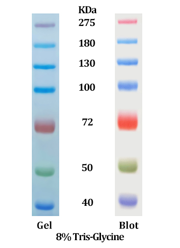 PPM-M1003-sds