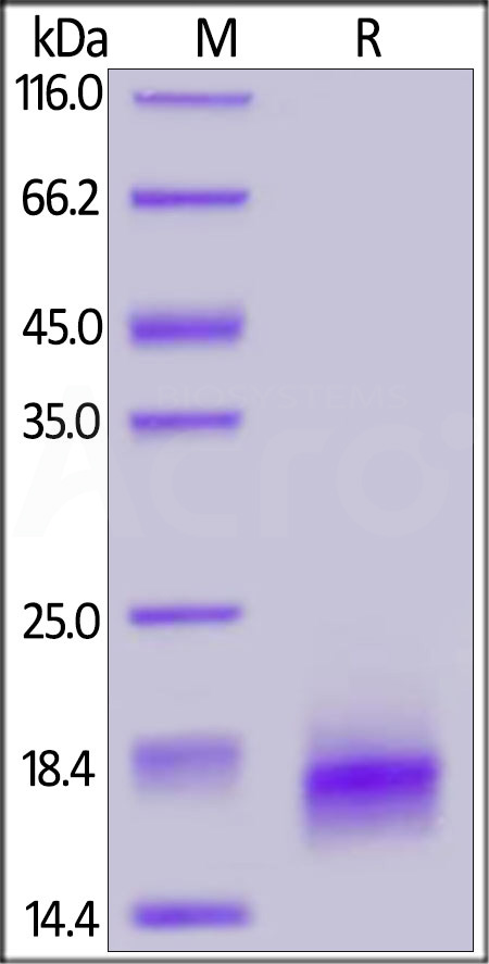 RO1-H5223-sds