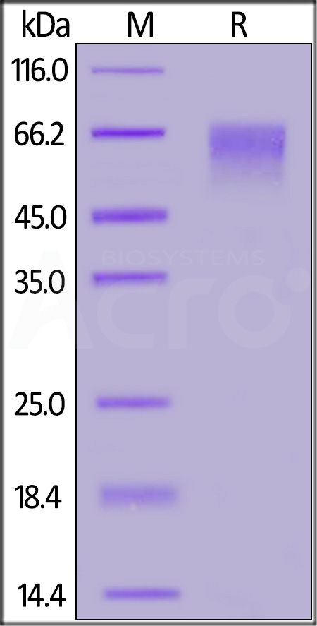 SI9-C52H9-sds