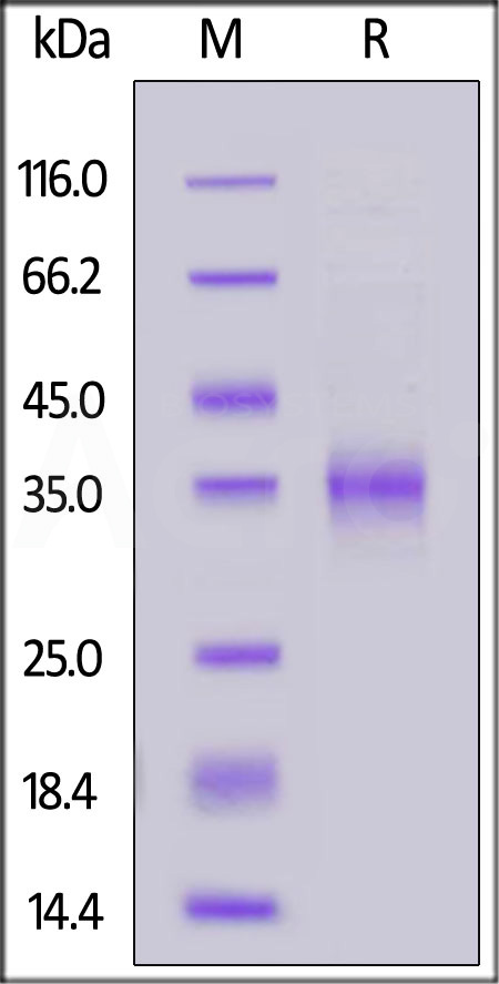 SPD-C82E7-sds