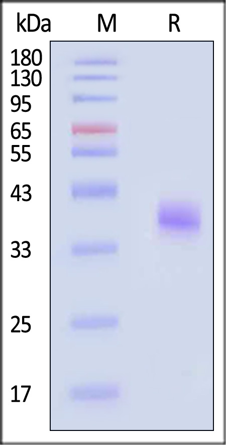 SPD-C82Q5-sds