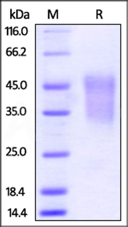 TI3-M52H1-sds