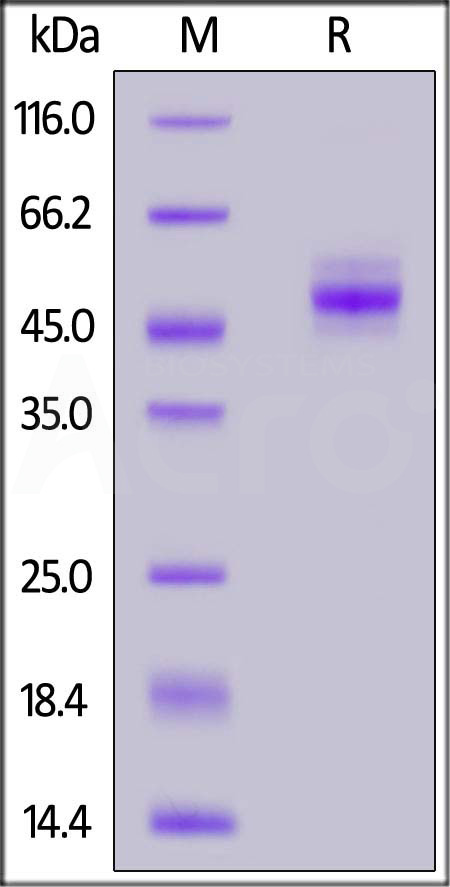 TIT-H82F3-sds