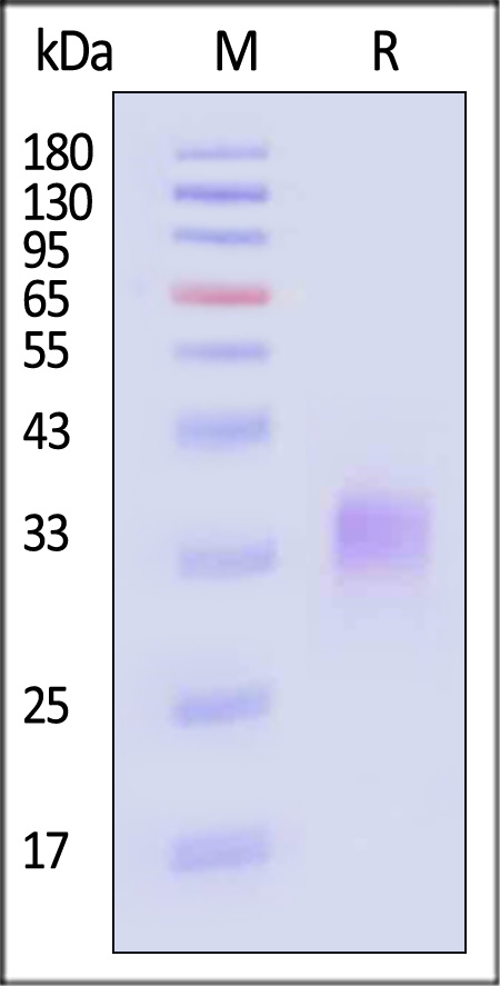 TLA-R5249-sds