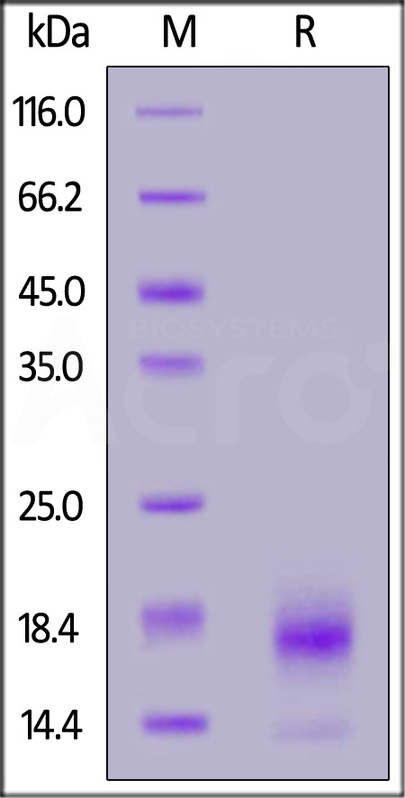 TS8-H52H3-sds