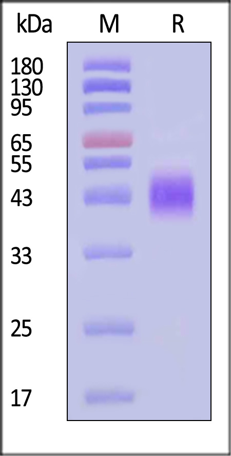 UPR-H5226-sds