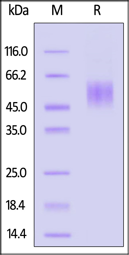 UPR-M52H3-sds