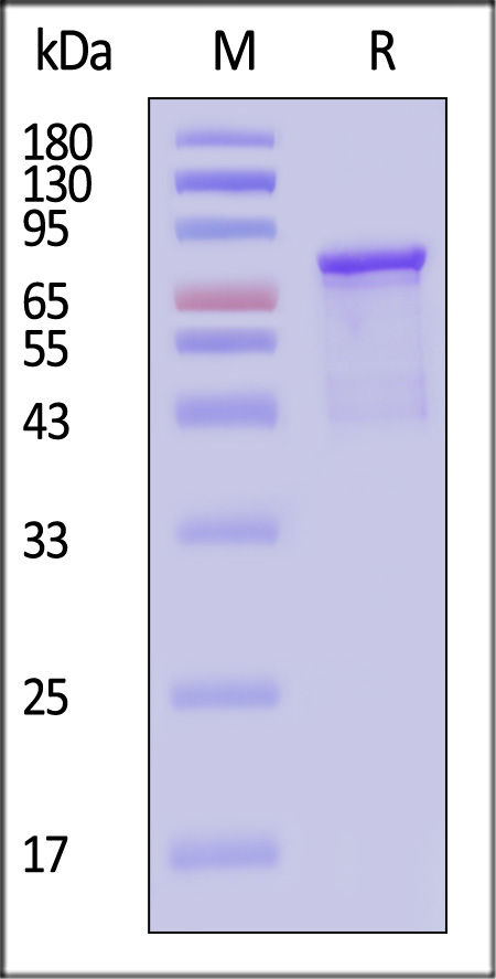 VP2-A5144-sds